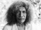 Newton